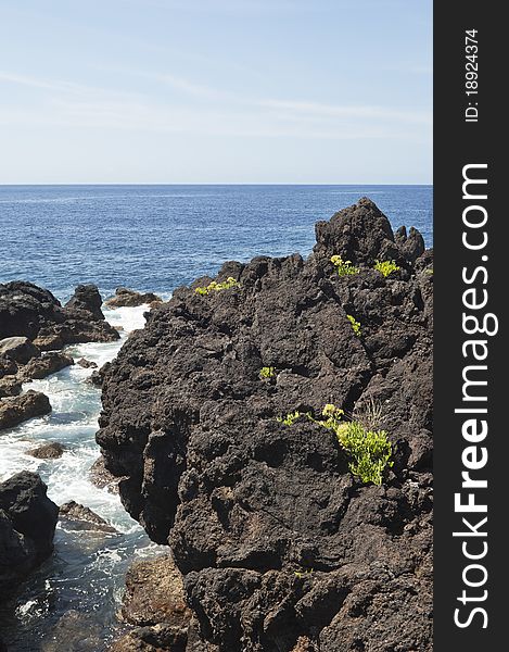 Volcanic rock in Pico island costline, Azores