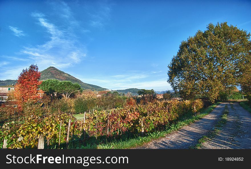 Colors Of Fall In Lucca, Tuscany