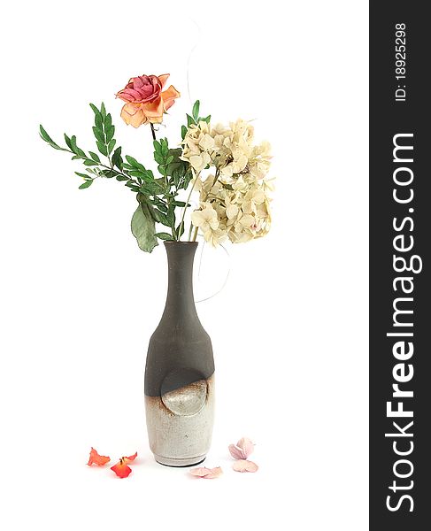 Dried green hortensia and rose in vase on white background