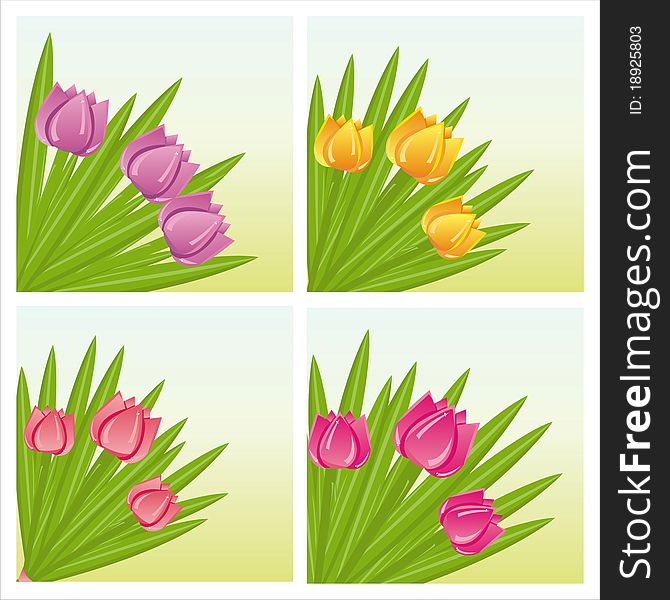 Set of 4 colorful tulips backgrounds