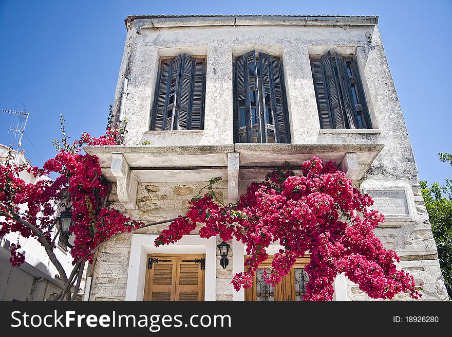 Facade of a mediterranean House with blooming Tree