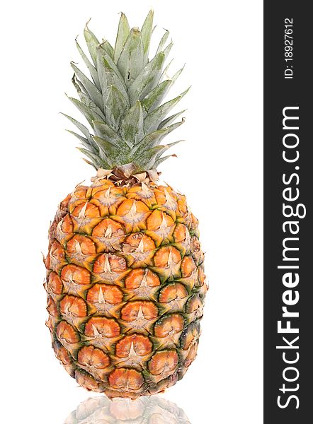 Pineapple