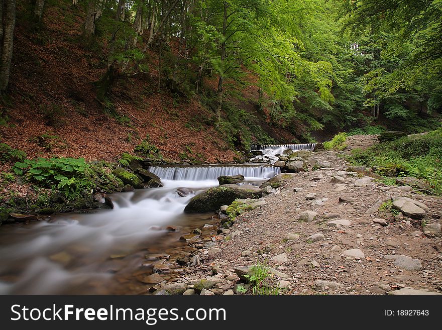 The beautiful mountain river among green wood.