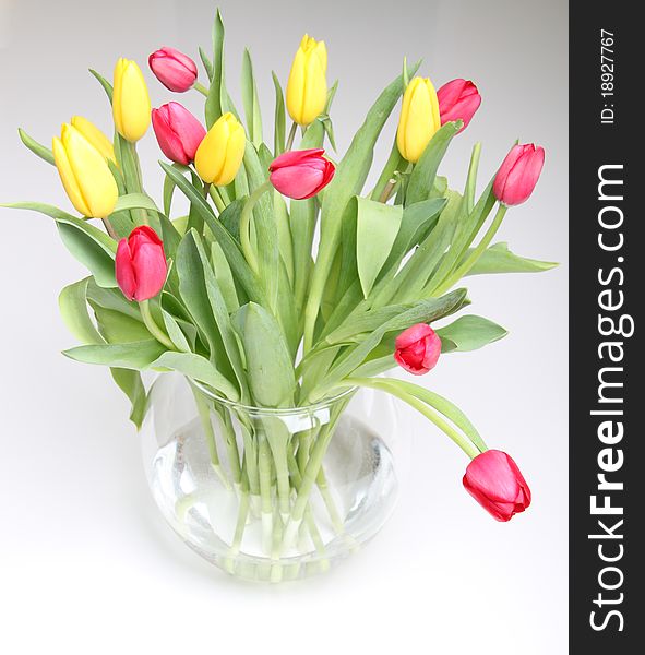 Yellow and red tulips in a glass round vase