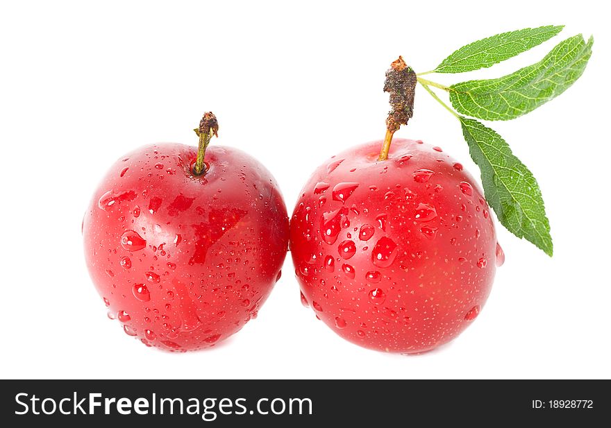 Close-up wet ripe plums, isolated on white