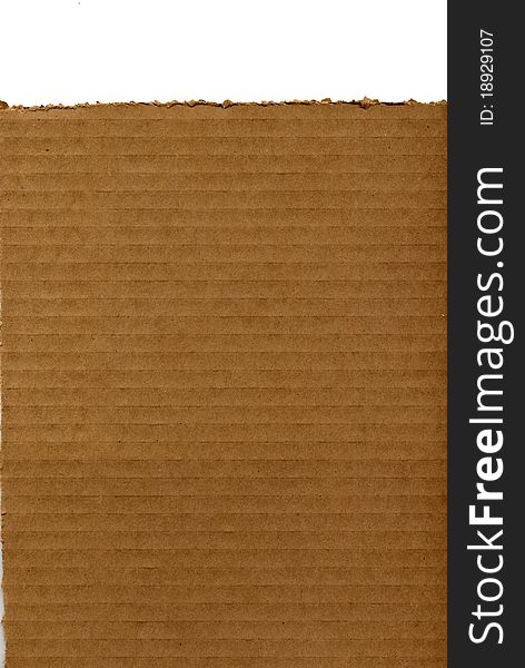 Scan of a corrugated cardboard panel with torn edges on the top edge.  Lines running horizontally across. Scan of a corrugated cardboard panel with torn edges on the top edge.  Lines running horizontally across.