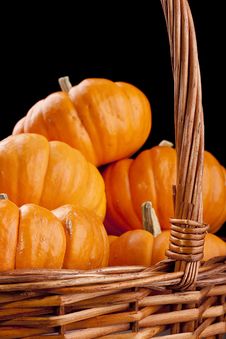 Pumpkins Royalty Free Stock Images Pumpkins Royalty Free Stock Images
