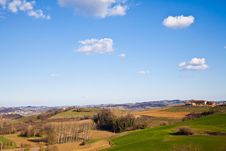 Italian Villa With Vineyard: Spring Season Royalty Free Stock Image Italian Villa With Vineyard: Spring Season Royalty Free Stock Image