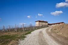 Italian Villa With Vineyard: Spring Season Stock Photo Italian Villa With Vineyard: Spring Season Stock Photo