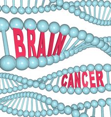 Brain Cancer Words In DNA Strand Royalty Free Stock Photos Brain Cancer Words In DNA Strand Royalty Free Stock Photos