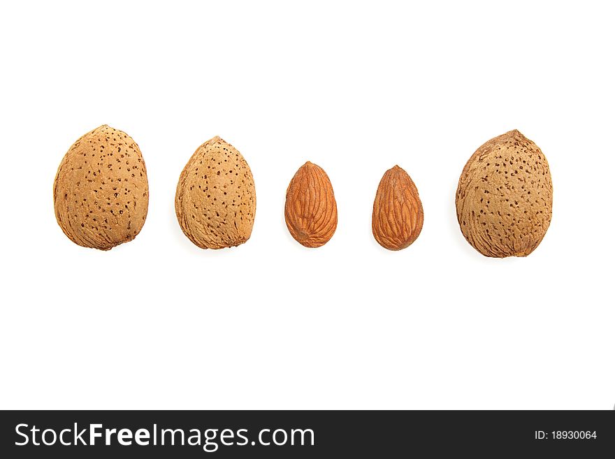 Five delicious fresh almonds on white background. Five delicious fresh almonds on white background