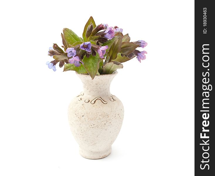 Vase of flowers on a white background