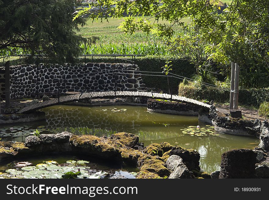 Footbridge over a small lake in a garden. Footbridge over a small lake in a garden