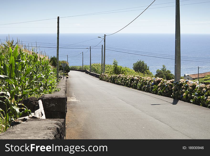 Country road in Pico island, Azores