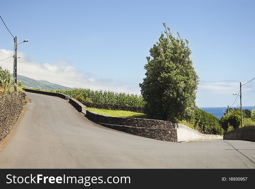 Country road in Pico island, Azores