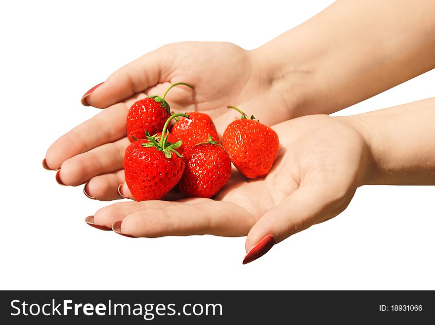 Strawberry In Hands