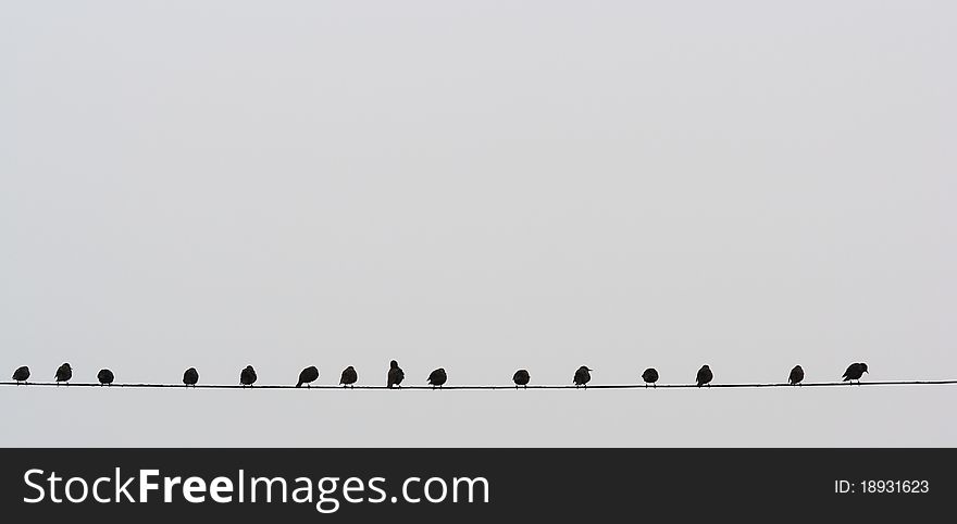 A minimalist photograph with a rhythm produced by birds sitting on a single wire. A minimalist photograph with a rhythm produced by birds sitting on a single wire.