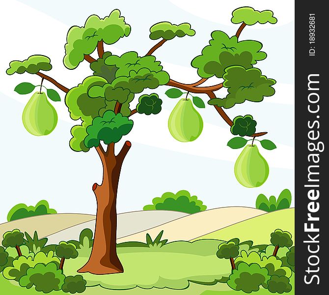 Illustration of tree with green pears. Illustration of tree with green pears