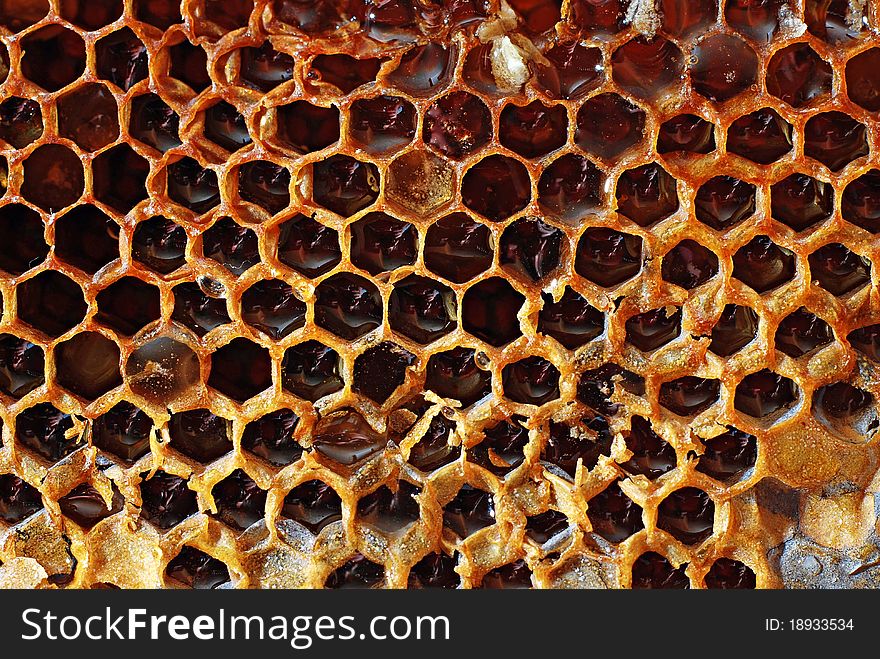 Natural Honeycombs for use as background.