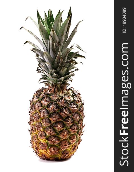 Pineapple