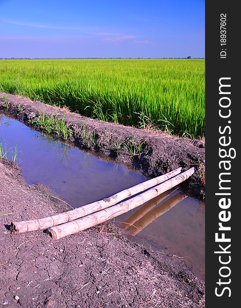 Bridge over the moat in the field.Thailand