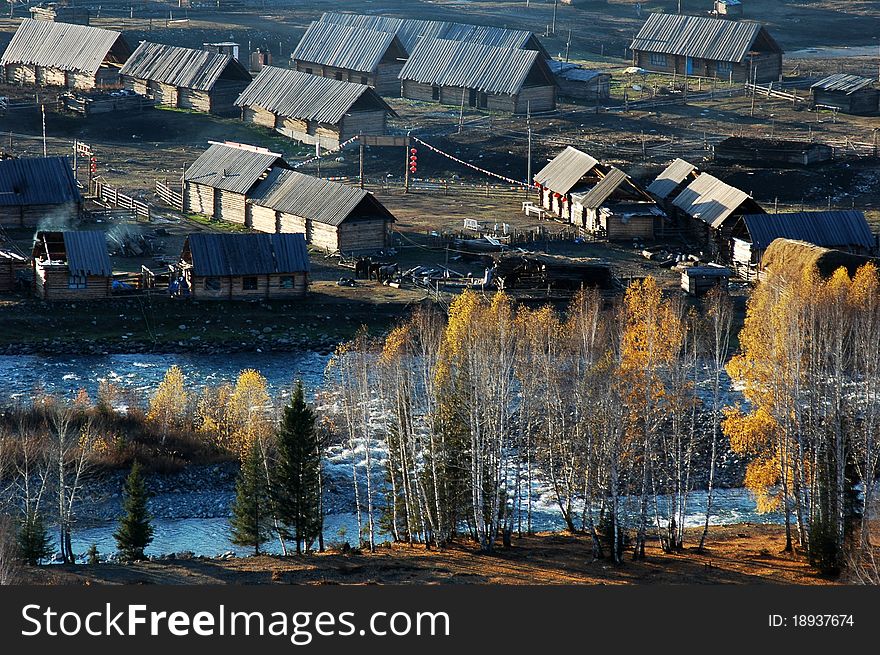 Golden trees,brook and village in Sinkiang, China,in an early autumn morning. Golden trees,brook and village in Sinkiang, China,in an early autumn morning