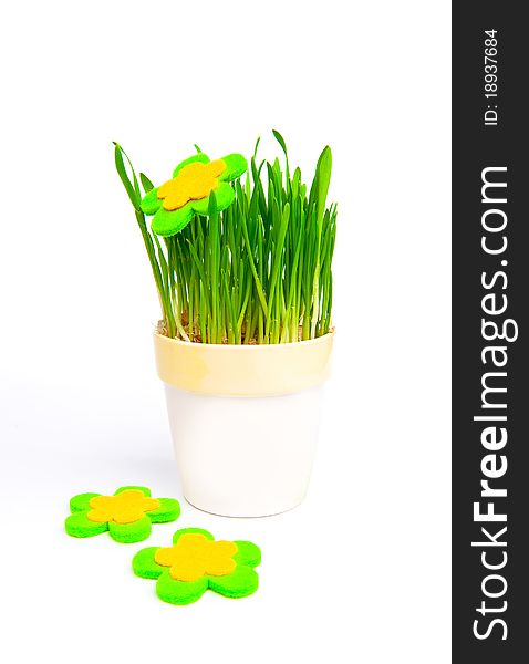 Flowerpot with green grass over white background