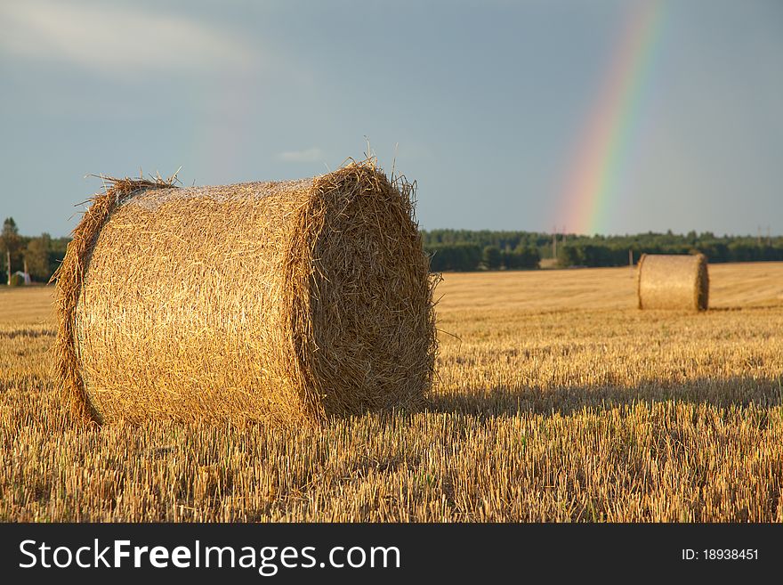 Large hay roll on the field