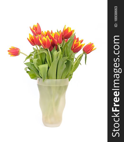 Beautiful bouquet red tulips in vase on white background. Beautiful bouquet red tulips in vase on white background