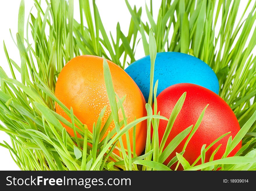 Egg Easter In A Grass Isolated On White