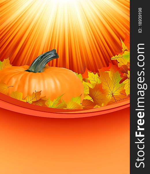 Colorful autumn card leaves with Pumpkin. EPS 8