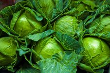 Cabbage Green Vegetable Stock Photos Cabbage Green Vegetable Stock Photos