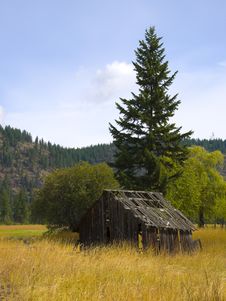 Old Barn In Golden Field Stock Photo Old Barn In Golden Field Stock Photo