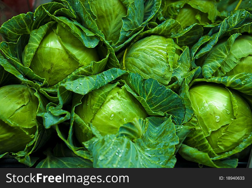 Fresh green cabbage closeup details as a background. Fresh green cabbage closeup details as a background