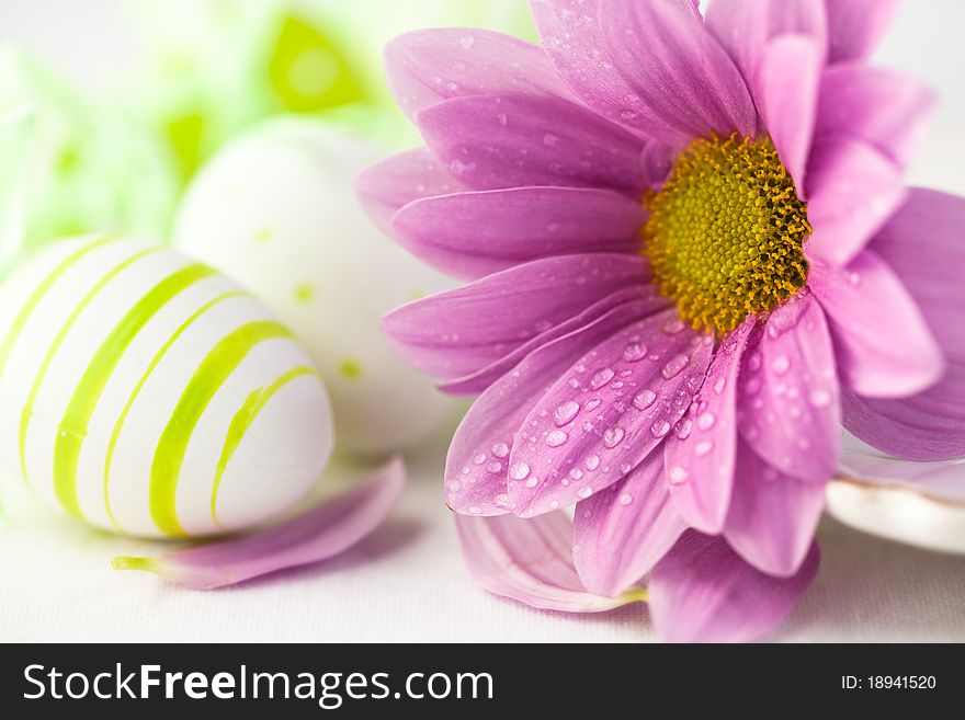 Closeup of pink daisy flower and green painted easter eggs. Closeup of pink daisy flower and green painted easter eggs