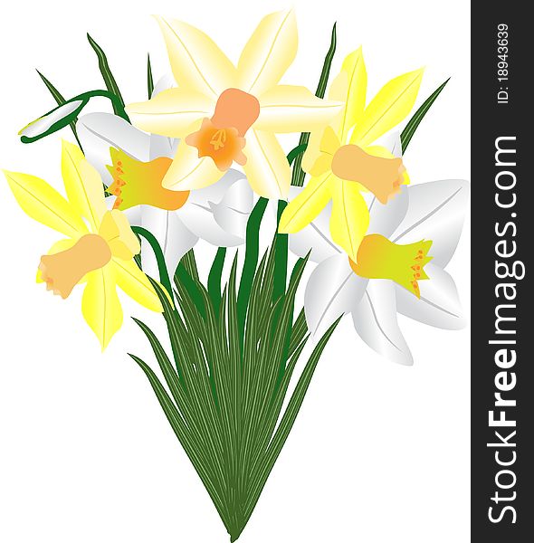Bouquet from beautiful spring colors - narcissuses