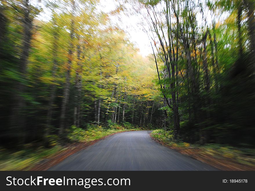 Shot taken in a scenic forest drive near New Hampshire. Shot taken in a scenic forest drive near New Hampshire