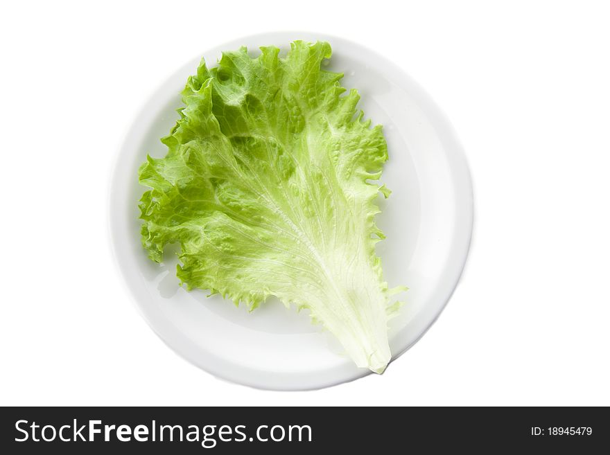 Green lettuce salad series isolated. Green lettuce salad series isolated