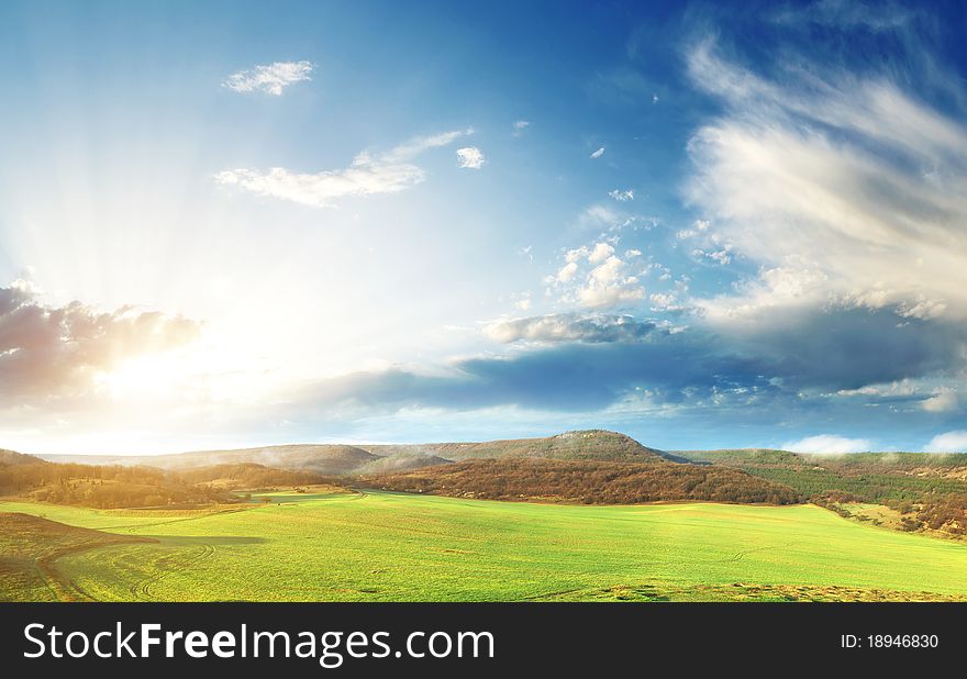 Green meadow in mountain. Composition of nature.