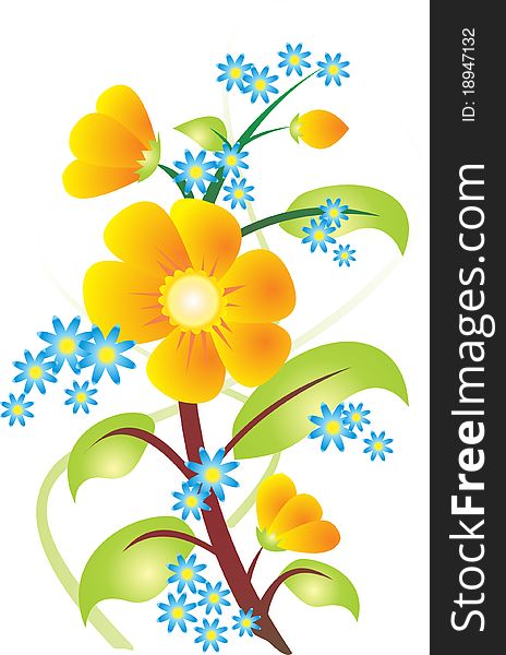 Beautiful flower on a white background. Vector Illustration