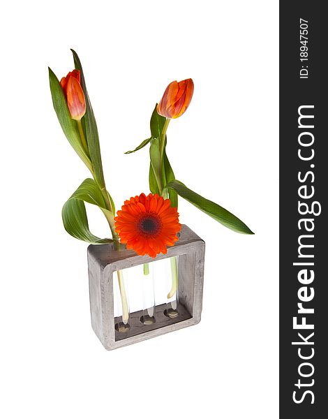 Orange springflowers for dutch queensday and easter