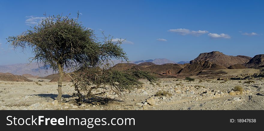 Panoramic View On Rockies Of Timna Park, Israel