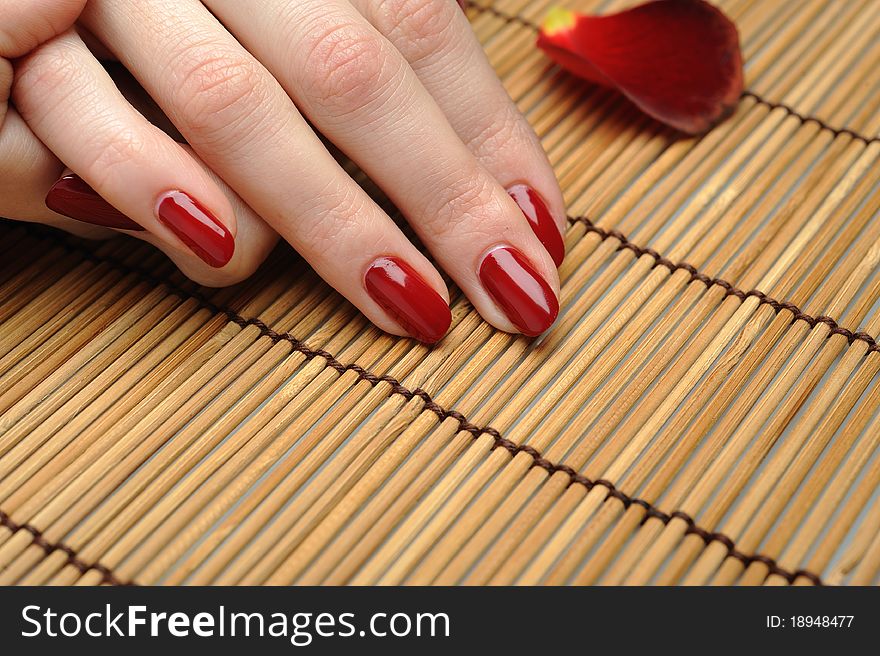 Beautiful hand with perfect nail red manicure and violet exotic flowers. isolated on white background