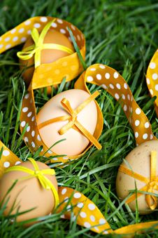 Easter Eggs Hidden In The Grass Stock Images Easter Eggs Hidden In The Grass Stock Images