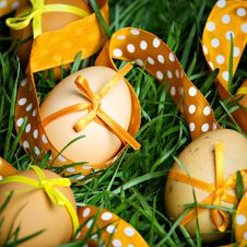 Easter Eggs Hidden In The Grass Stock Image Easter Eggs Hidden In The Grass Stock Image