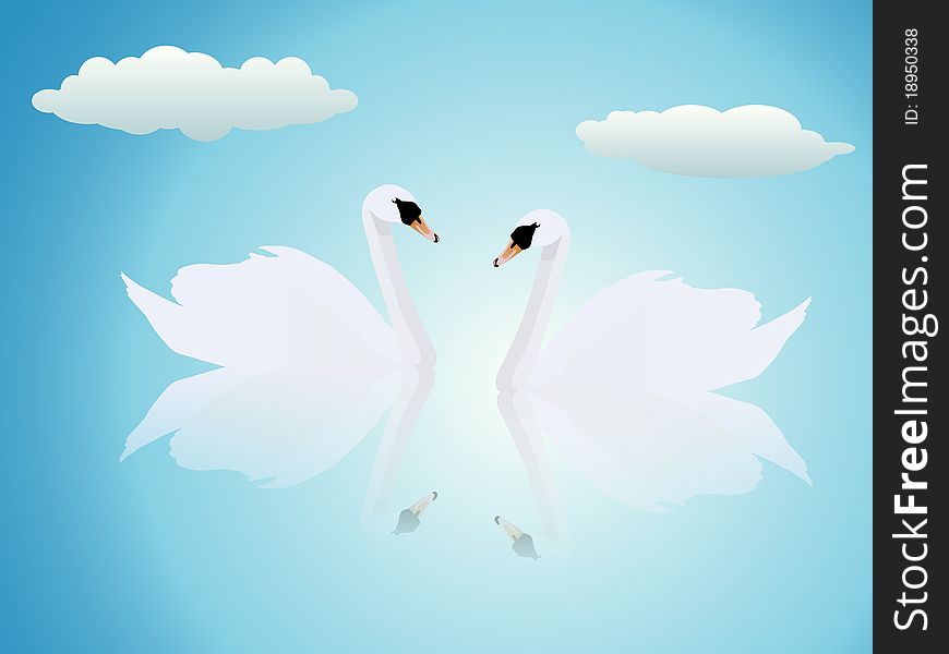 Two swans