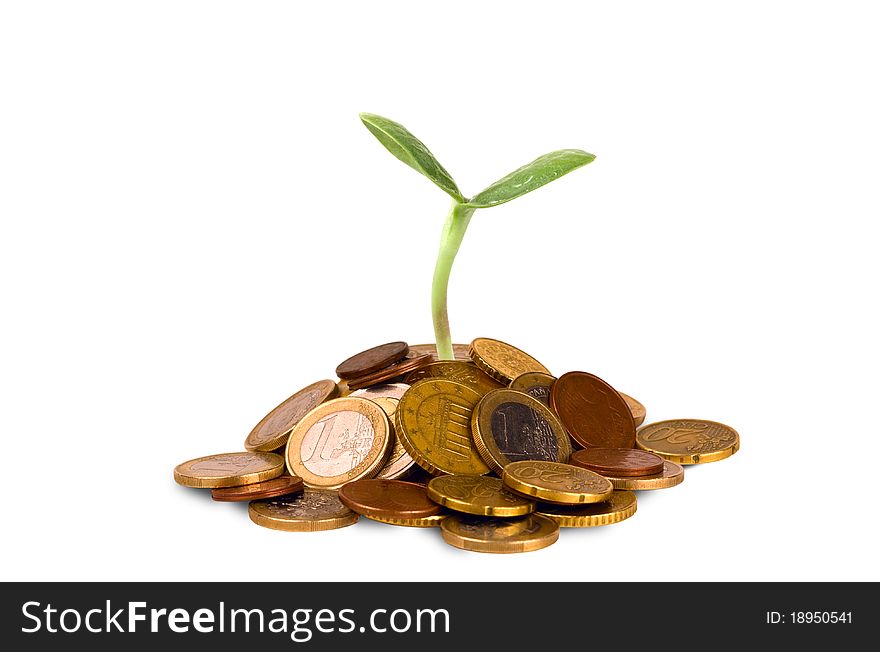 Sprout, growing from a pile of iron money. Sprout, growing from a pile of iron money