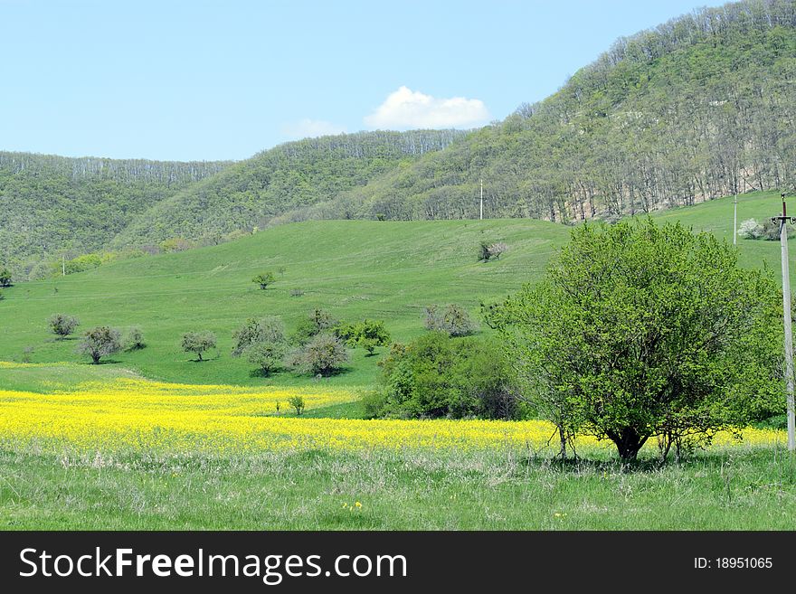 Blooming valley in the mountains in the spring of clear day