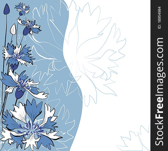 Cornflower. Vector greeting card. flower