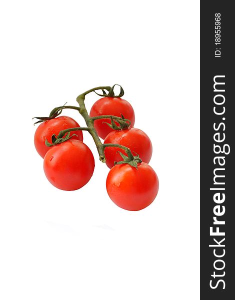 Branch of five red tomatoes isolated on white background. Branch of five red tomatoes isolated on white background